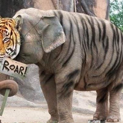 Mahisorn Wongphati (Chang)